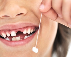 Задние зубы молочные или коренные